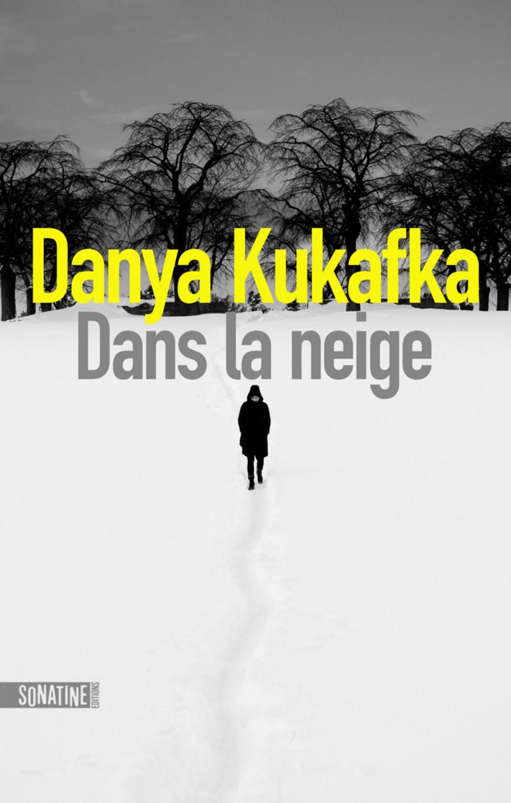 Big bigCover of Dans la neige