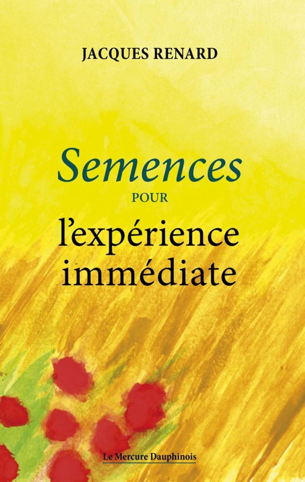 Big bigCover of Semences pour l'expérience immédiate