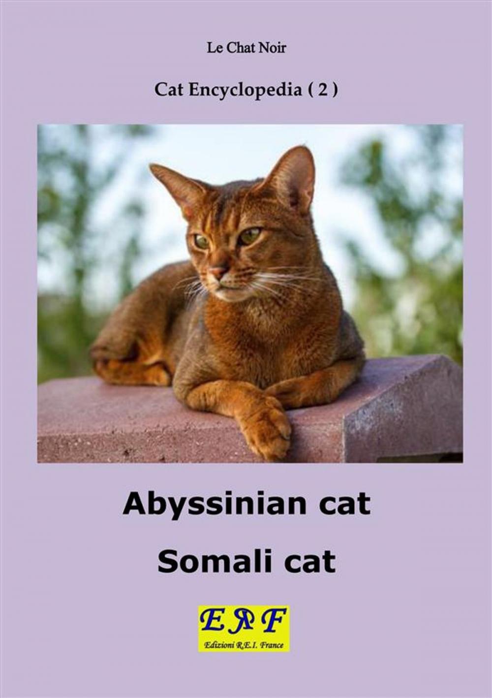 Big bigCover of Abyssinian cat - Somali cat