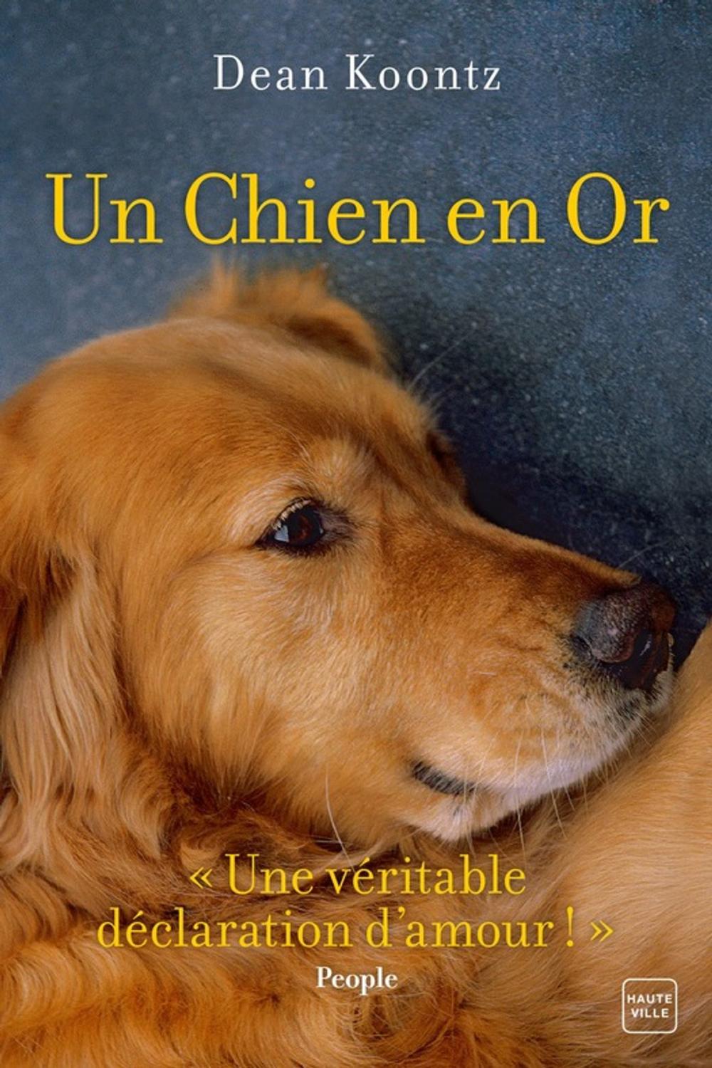 Big bigCover of Un chien en or