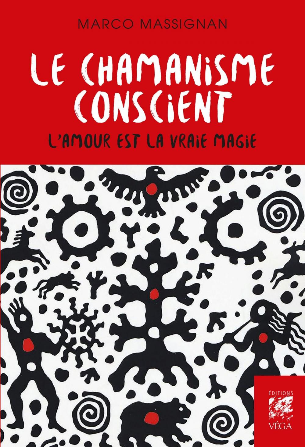 Big bigCover of Le chamanisme conscient