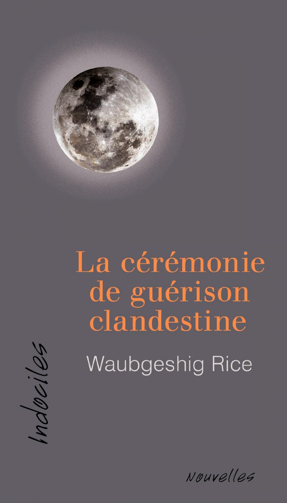 Big bigCover of La cérémonie de guérison clandestine