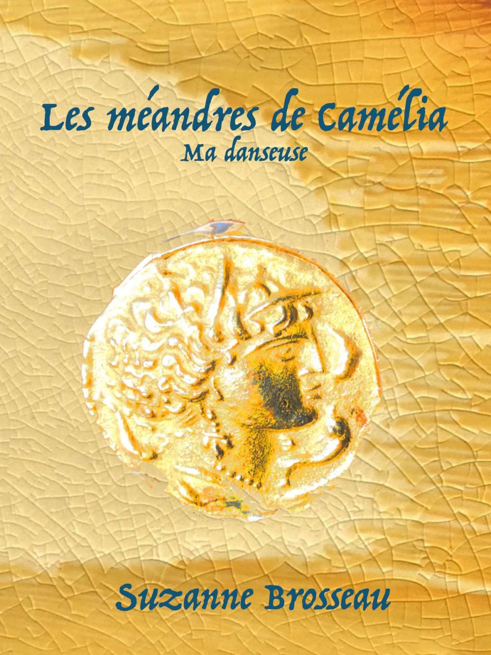 Big bigCover of Les méandres de Camélia