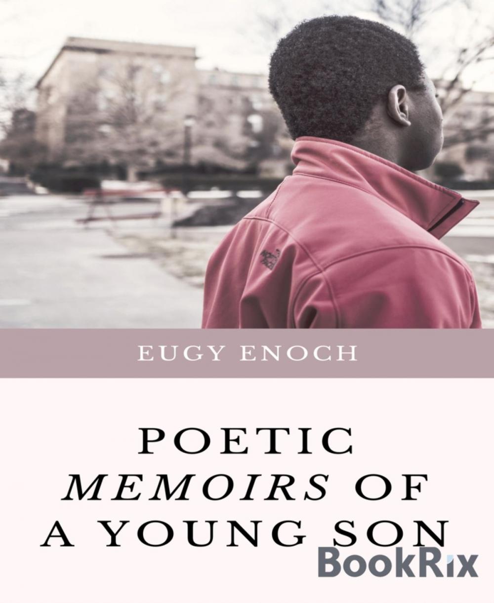 Big bigCover of Poetic Memoirs of a Young Son