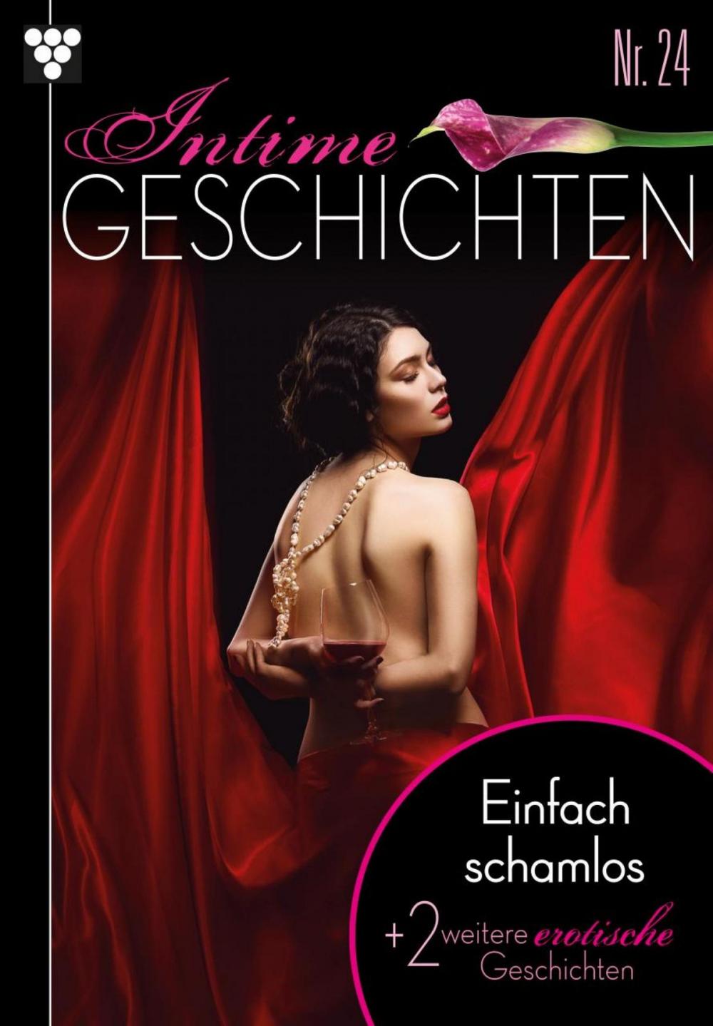 Big bigCover of Intime Geschichten 24 – Erotikroman