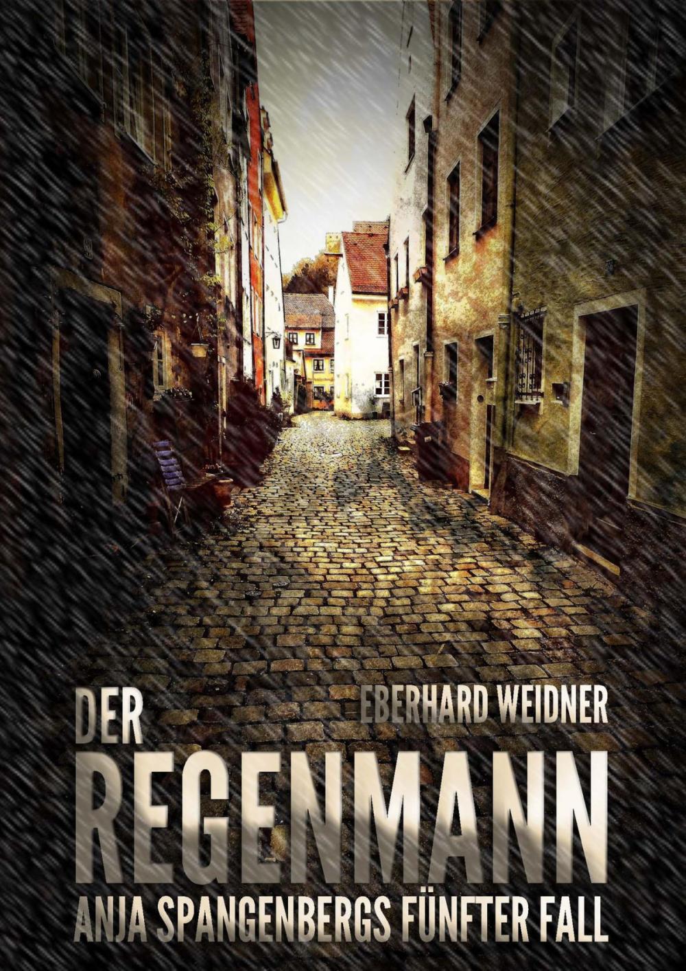 Big bigCover of DER REGENMANN