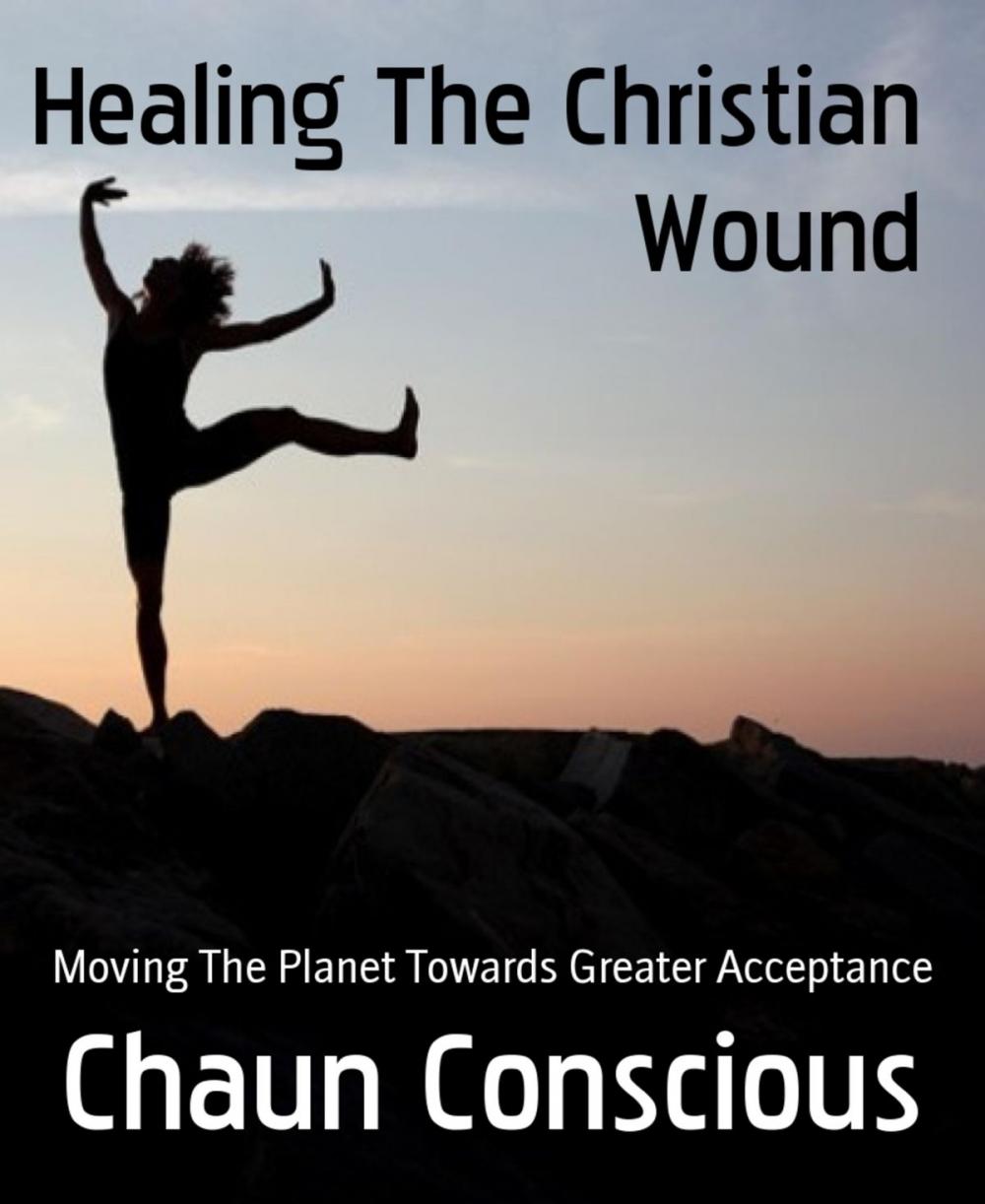 Big bigCover of Healing The Christian Wound