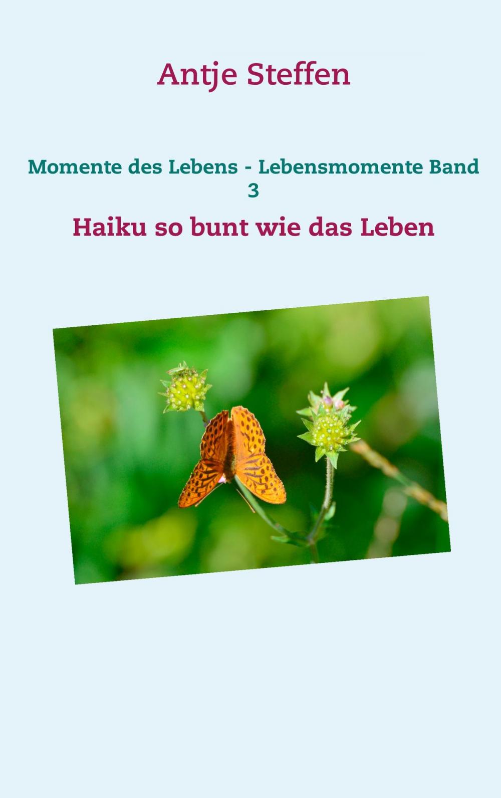 Big bigCover of Momente des Lebens - Lebensmomente Band 3