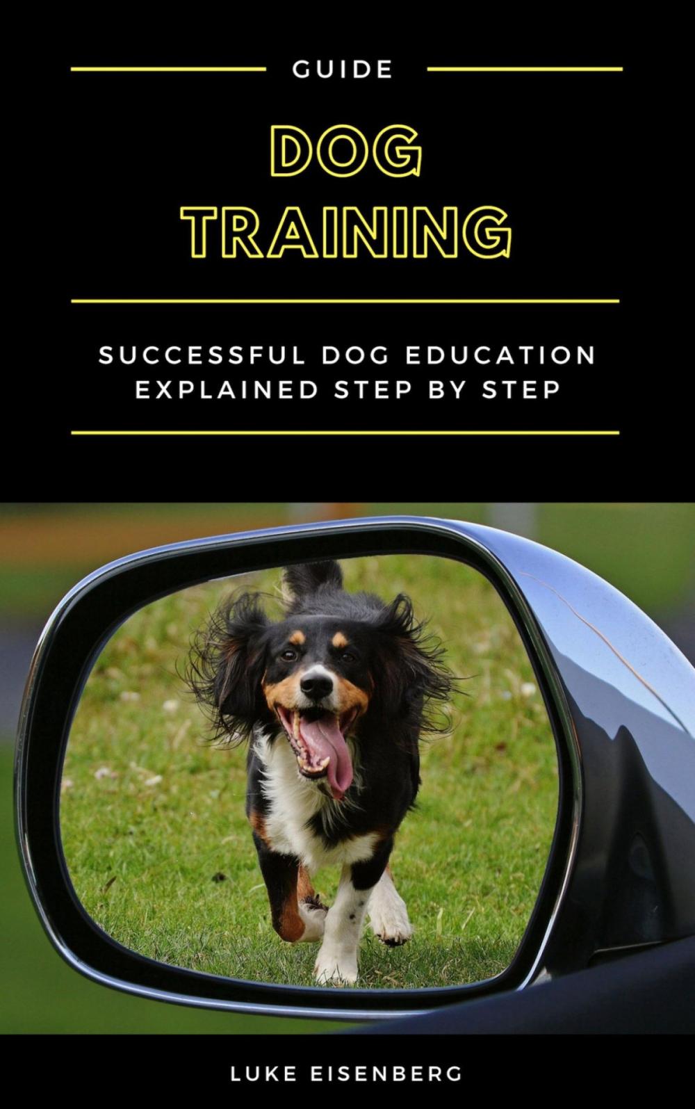 Big bigCover of Dog Training