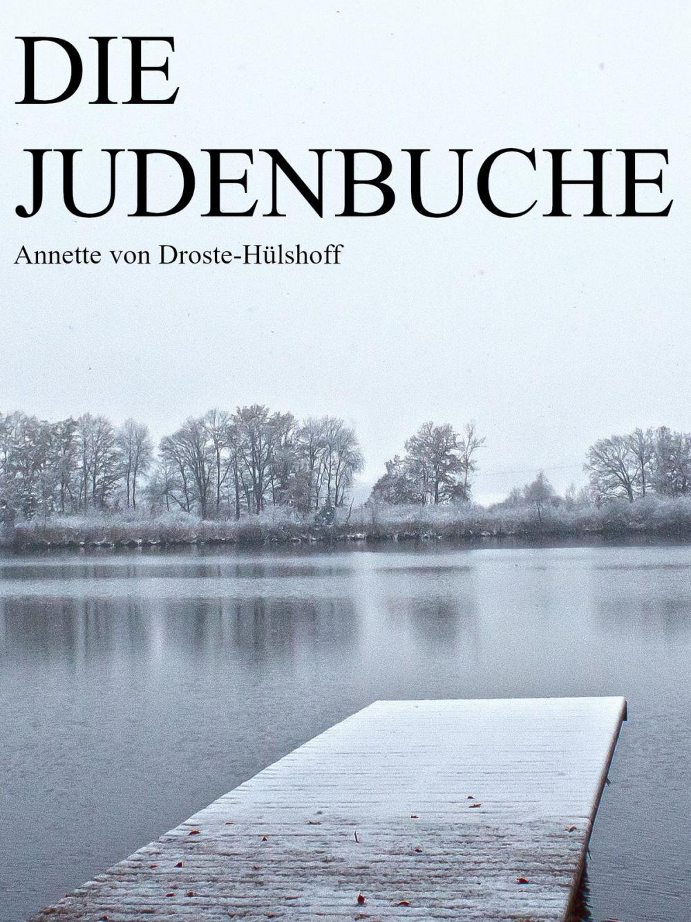 Big bigCover of Die Judenbuche