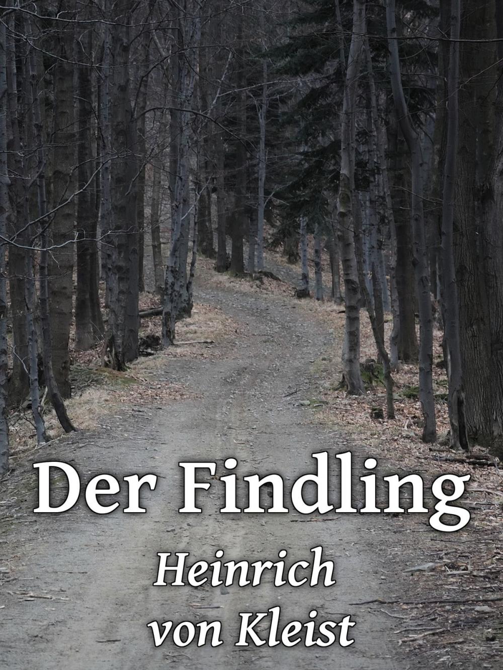 Big bigCover of Der Findling