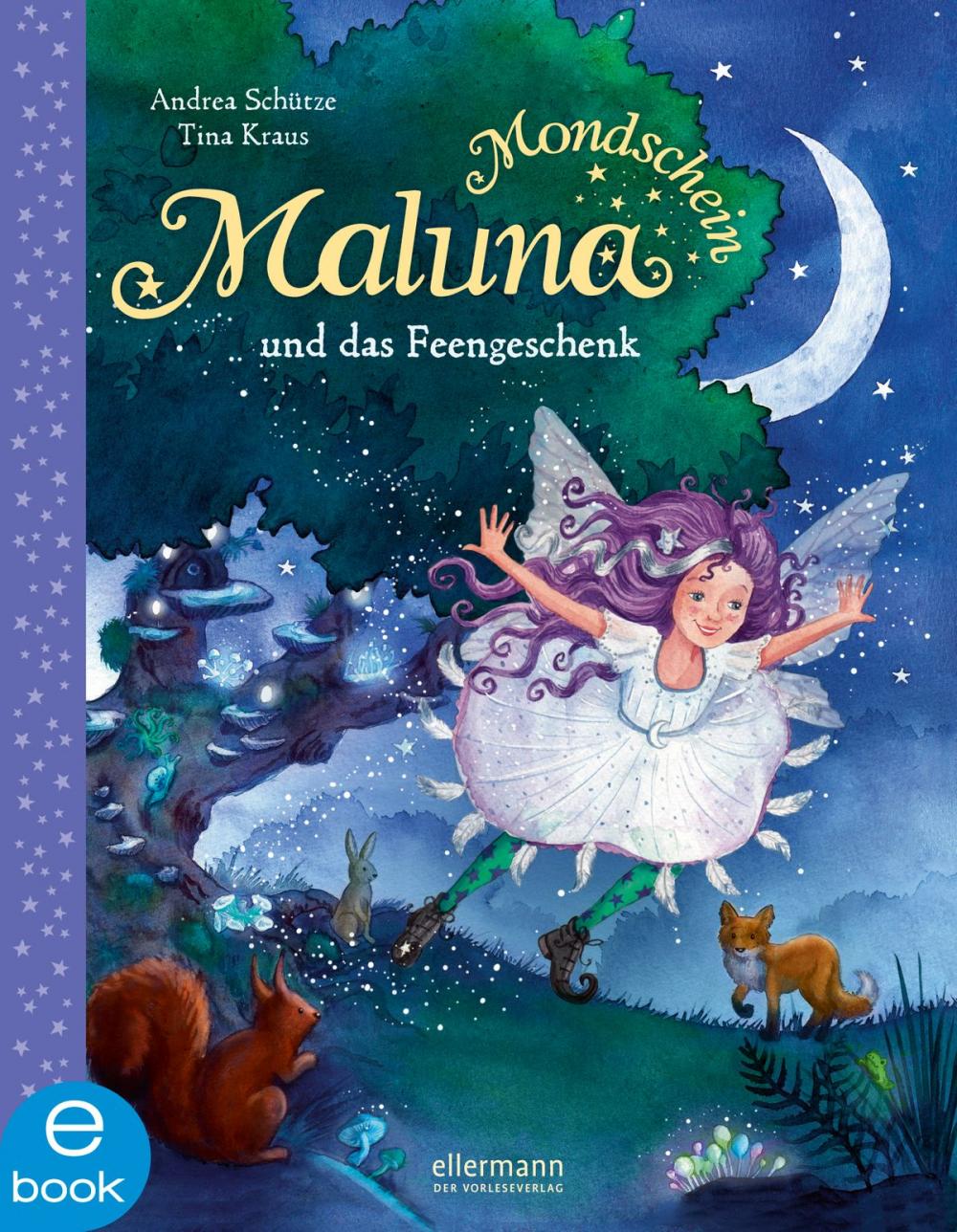 Big bigCover of Maluna Mondschein und das Feengeschenk