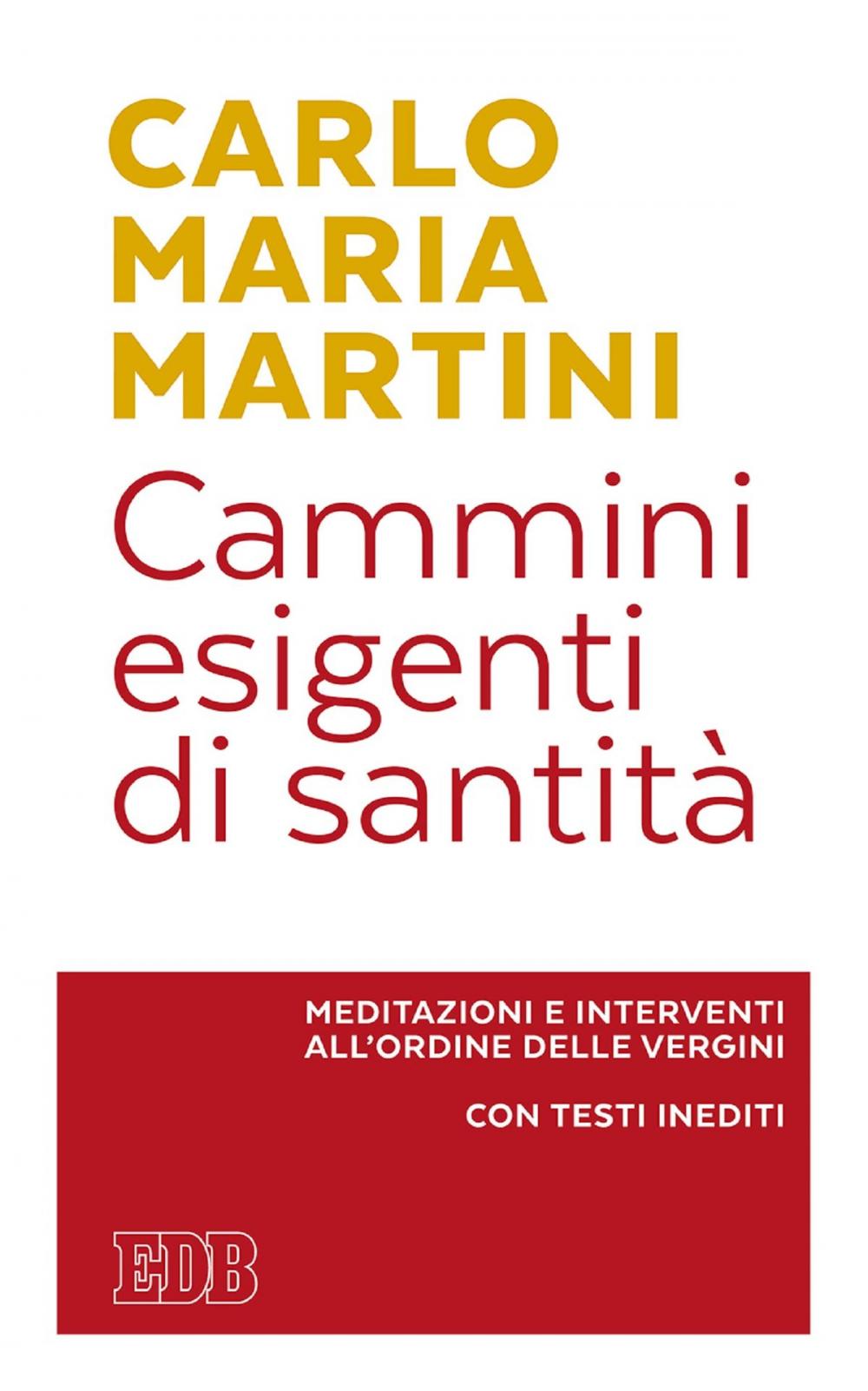 Big bigCover of Cammini esigenti di santità