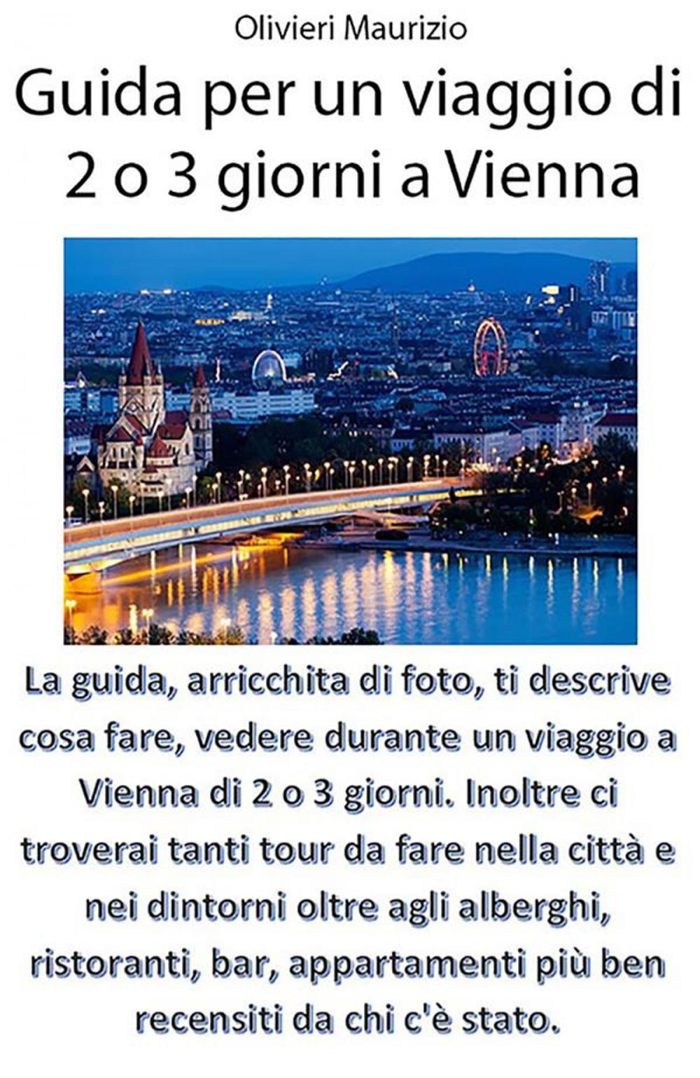 Big bigCover of Guida Viaggio a Vienna di 2 o 3 giorni