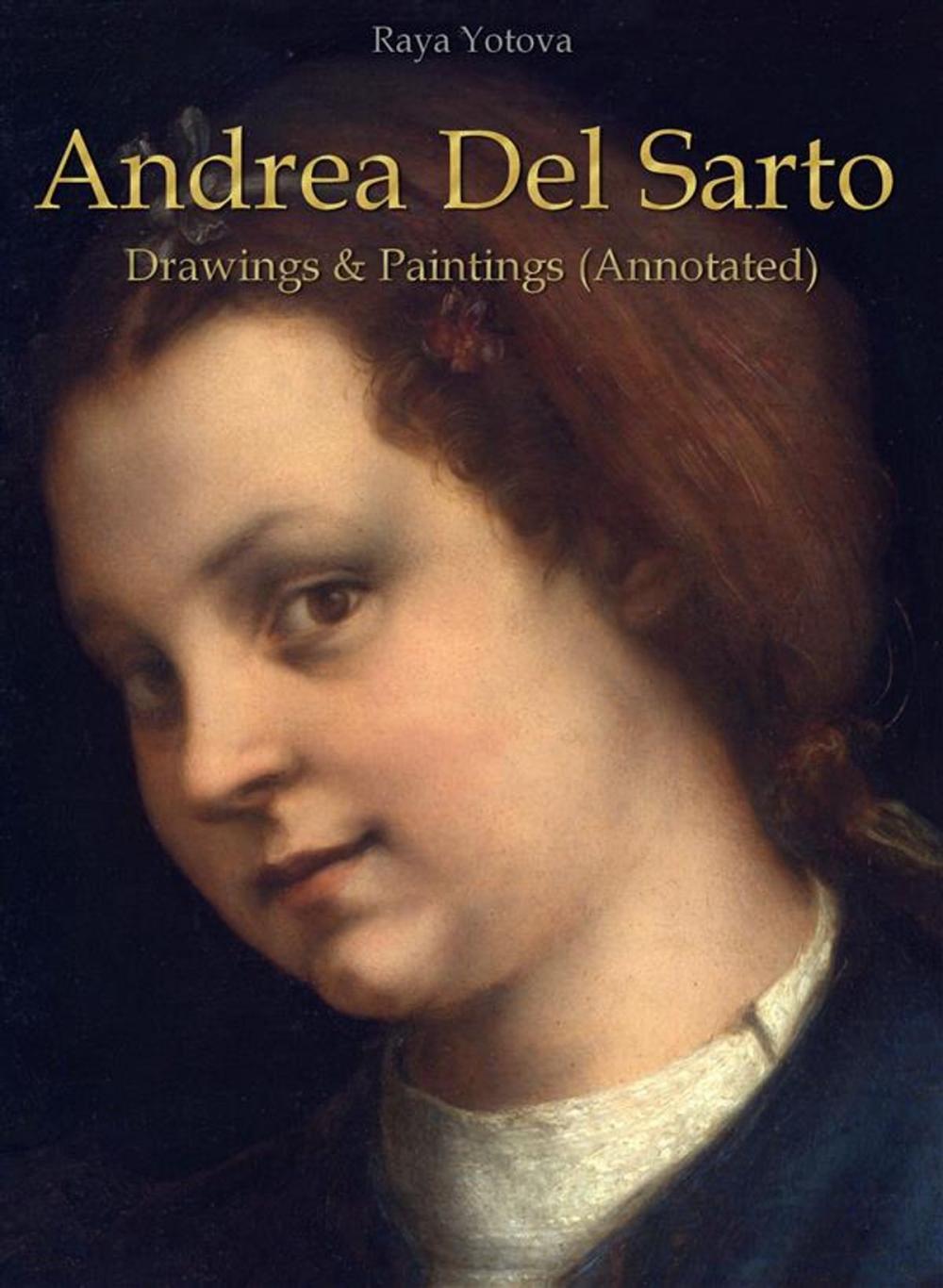 Big bigCover of Andrea Del Sarto: Drawings & Paintings (Annotated)