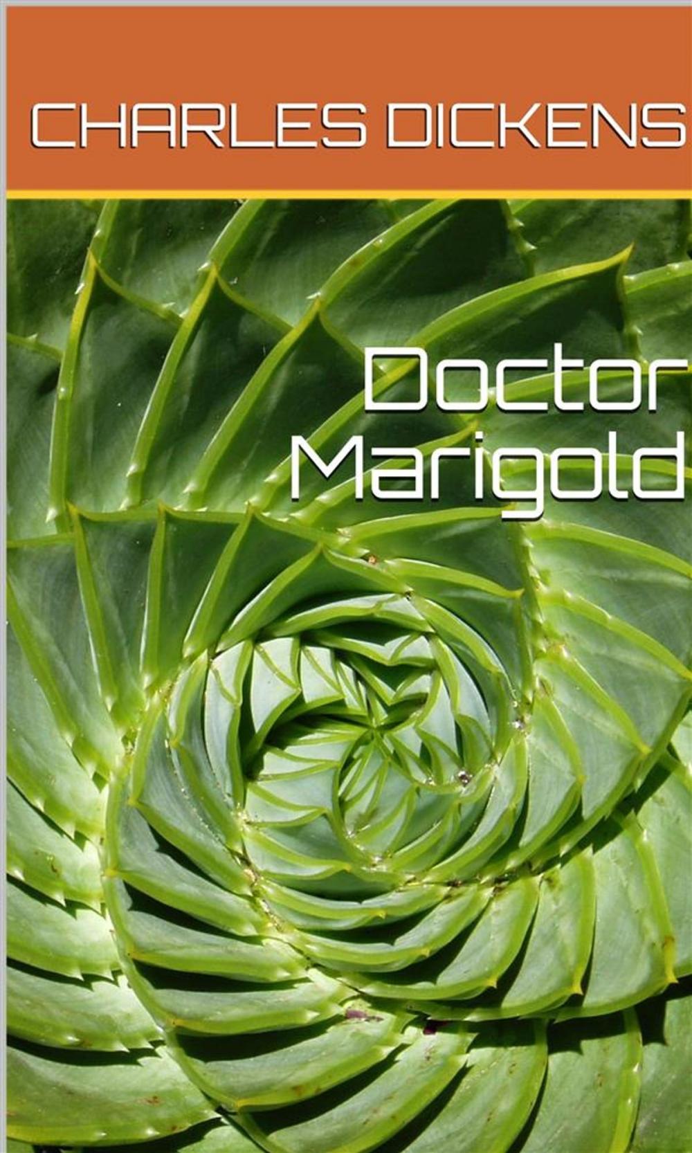 Big bigCover of Doctor Marigold