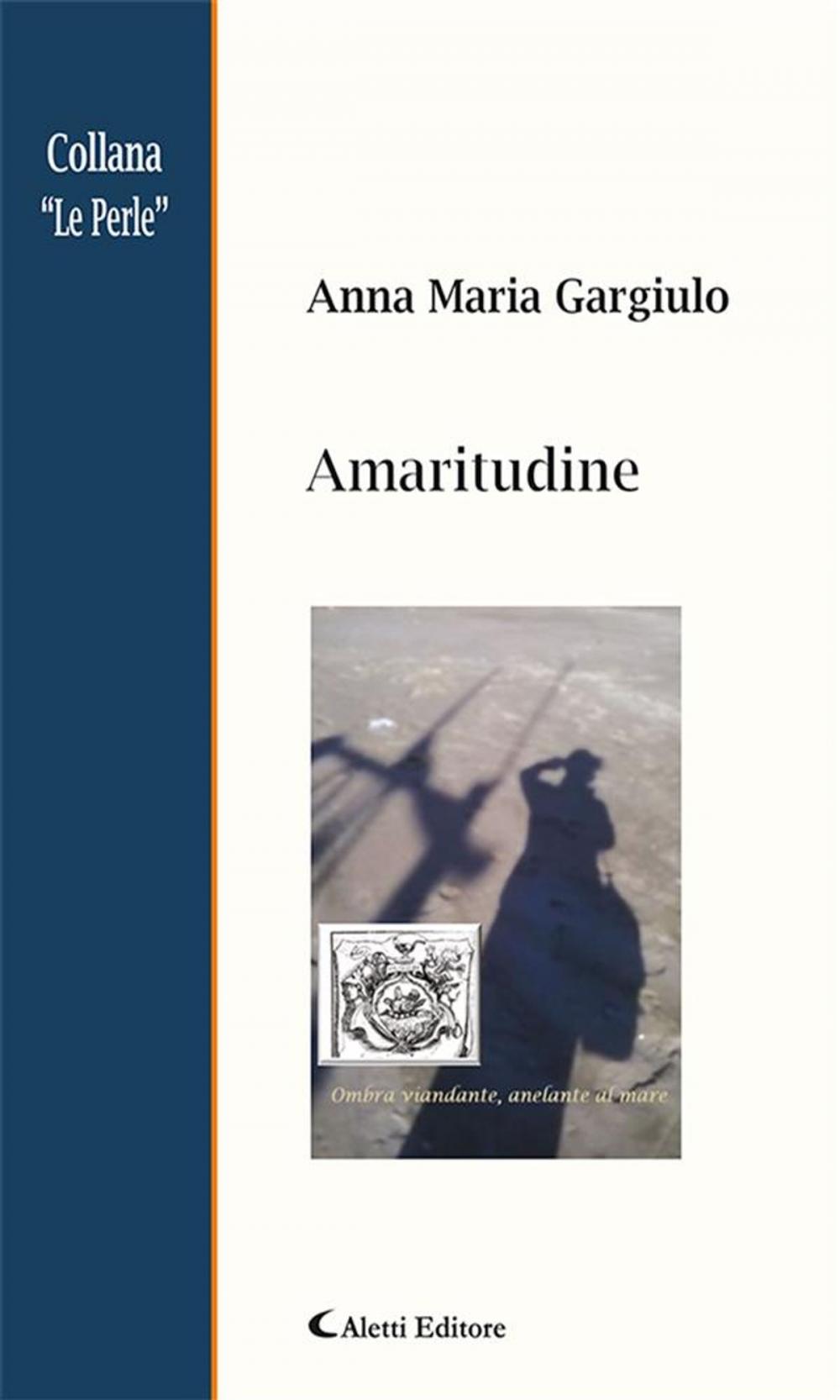 Big bigCover of Amaritudine