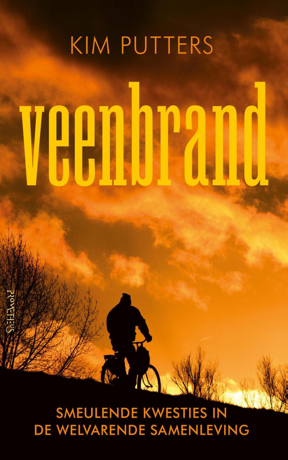 Big bigCover of Veenbrand