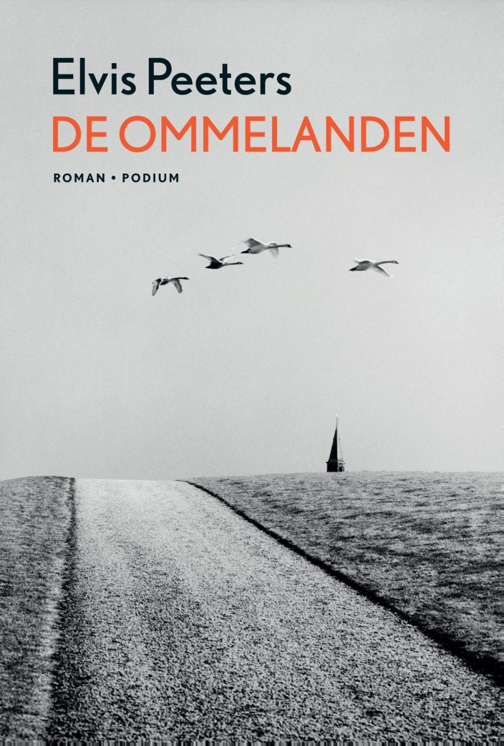 Big bigCover of De ommelanden