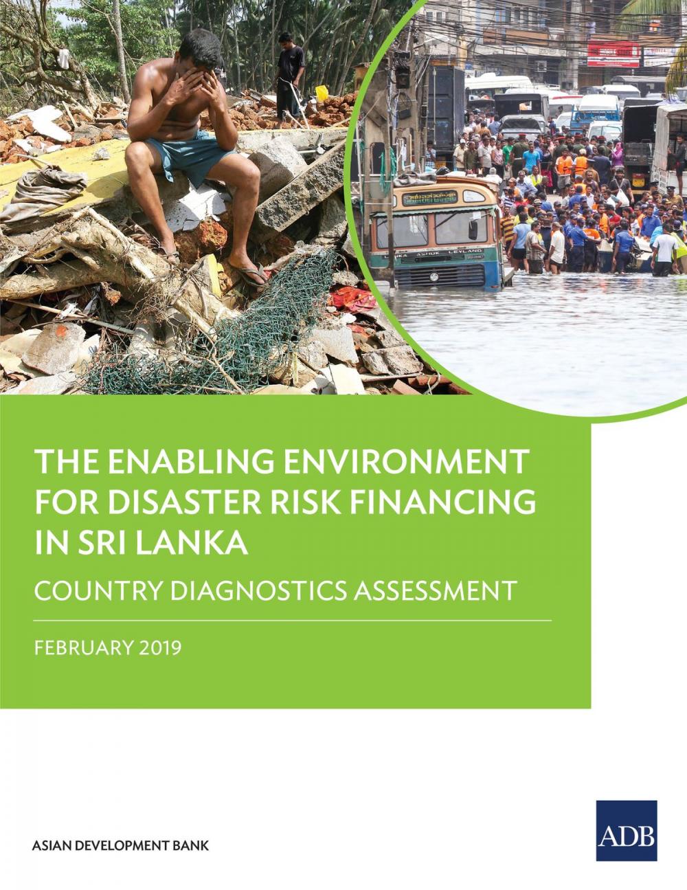 Big bigCover of The Enabling Environment for Disaster Risk Financing in Sri Lanka