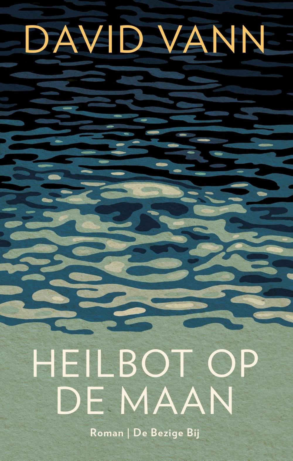 Big bigCover of Heilbot op de maan