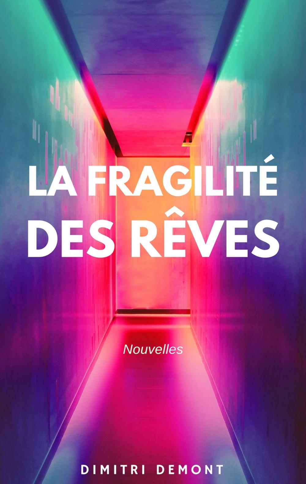 Big bigCover of La Fragilité des rêves