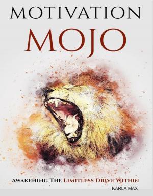 Cover of the book Motivation Mojo by Jean Prieur du Plessis