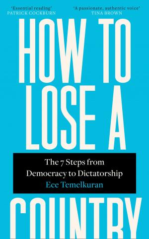Cover of the book How to Lose a Country: The 7 Steps from Democracy to Dictatorship by Stan Berenstain, Jan Berenstain