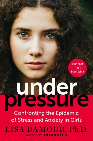 Cover of the book Under Pressure by Alice Steinbach