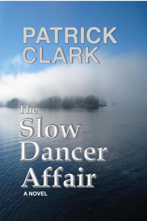 Book cover of The Slow Dancer Affair