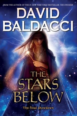 Cover of the book The Stars Below (Vega Jane, Book 4) by Laurie Calkhoven
