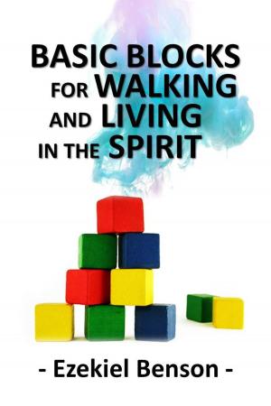Book cover of Basic Blocks for Walking and Living in the Spirit