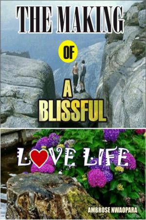 Cover of the book The Making of a Blissful Love Life by Jeffrey Behrendt