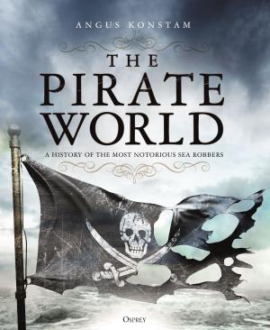 Cover of the book The Pirate World by Doug Merlino