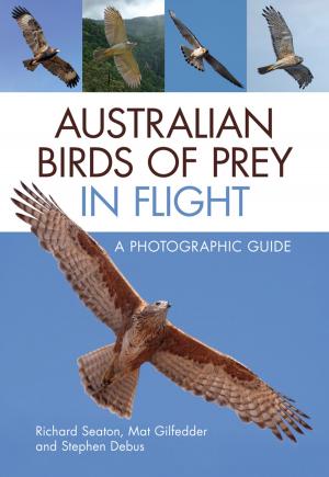 Book cover of Australian Birds of Prey in Flight