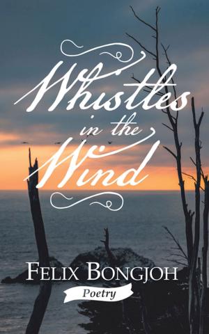 Book cover of Whistles in the Wind