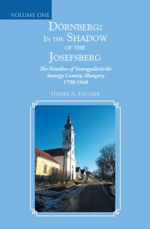 Cover of the book Dörnberg: in the Shadow of the Josefsberg by Ade Esan