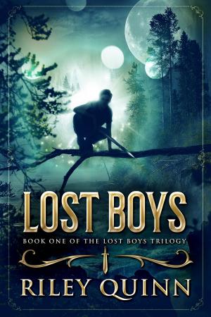 Cover of the book Lost Boys by Martin Lundqvist