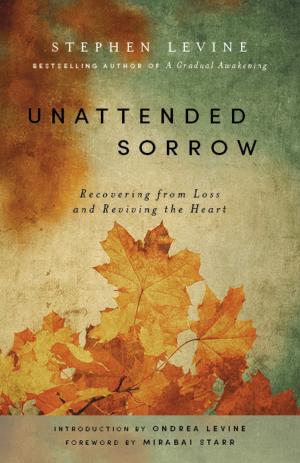 Cover of the book Unattended Sorrow by Rupert Sheldrake, Matthew Fox