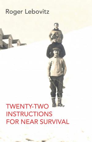 Cover of the book Twenty-Two Instructions for Near Survival by Ilan Mochari