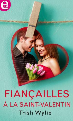 Cover of the book Fiançailles à la Saint-Valentin by B.J. Daniels, Delores Fossen, Dana Marton