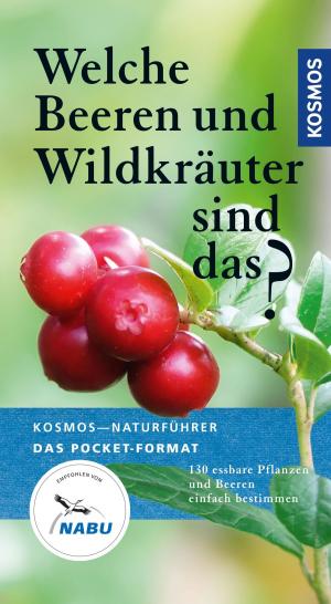 Book cover of Welche Beeren und Wildkräuter sind das?