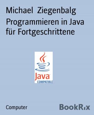 Cover of the book Programmieren in Java für Fortgeschrittene by Mohammad Amin Sheikho, A. K. John Alias Al-Dayrani