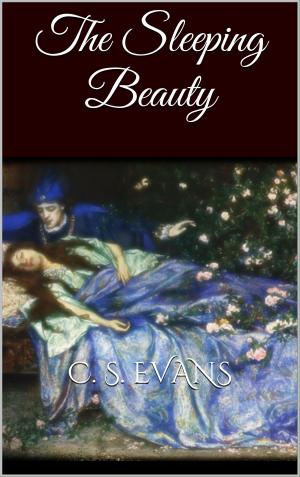 Cover of the book The Sleeping Beauty by Hubert Schmidt, Johanna Eisner