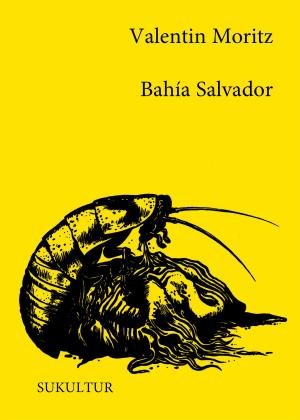 Cover of the book Bahía Salvador by LW Michelle
