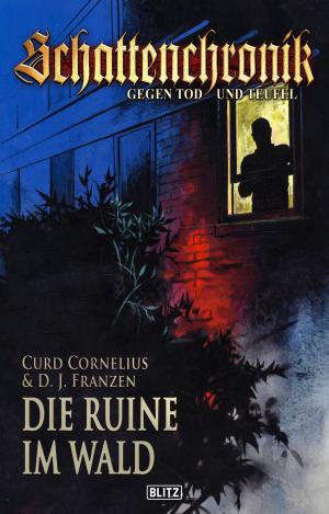 Cover of the book Schattenchronik - Gegen Tod und Teufel - Band 3 - Die Ruine im Wald by Matt Dymerski