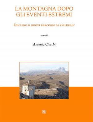 bigCover of the book La montagna dopo gli eventi estremi by 