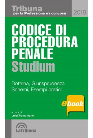 Book cover of Codice di procedura penale studium