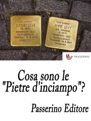 Cover of the book Cosa sono le "Pietre d'inciampo"? by Marcello Colozzo