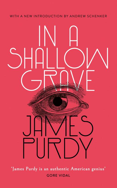 Cover of the book In a Shallow Grave by James Purdy, Andrew Schenker, Valancourt Books